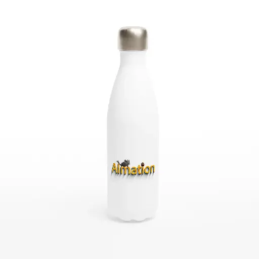 Stainless Steel Water Bottle
